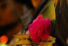 Thư từ Mùa vu lan nhắn với Lương y từ mẫu