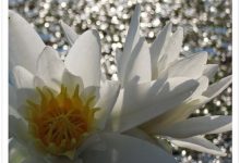 Truyện ngắn Điều thiện thứ mười